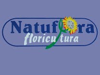 Natuflora Floricultura