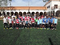 Estrelas do Futuro Escola Oficial de Futebol do Botafogo F.R. do Rio de Janeiro