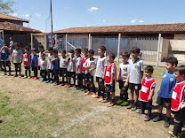 Estrelas do Futuro Escola Oficial de Futebol do Botafogo do Rio de Janeiro
