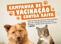 Vacinação de cães e gatos atinge mais de 4 mil animais; ainda existem doses disponíveis