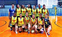 Mais um fim de semana vitorioso para a equipe de voleibol Asser/DEL Porto Ferreira