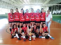 Equipe infantil feminina de vôlei é campeã da APV