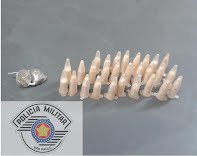 Desempregado e menor são fragrados com cocaína e maconha no Jardim Anésia II