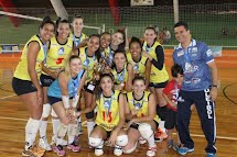 Vôlei feminino: equipe da Asser/DEL se prepara para a temporada de 2014
