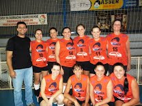 Vôlei máster: equipe feminina de Porto Ferreira vai disputar o bronze em campeonato da APV