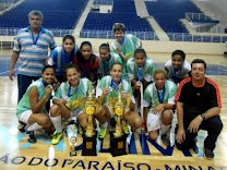 Futsal feminino:  equipe sub 19 do C.A. Ferreirense é vice-campeã do Campeonato Regional  