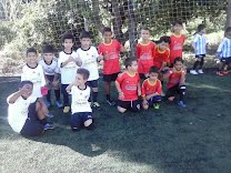 Estrelas do Futuro Escola Oficial de Futebol do Botafogo do Rio de Janeiro 