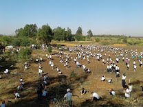 Plantio de mais de 2.000 mudas de árvores marca a comemoração do Dia da Árvore pelo Rotary Club