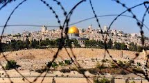 Terrorismo Israelense: vencedor do Oscar relata violência e intolerância na Cisjordânia ocupada