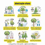 O verde que surpreende (e o que alerta): desafios da arborização urbana no estado de SP