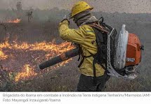 Ministério do Meio Ambiente publica medidas preventivas a incêndios que produtores deverão seguir  