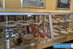 IMG_20250801_144641168_HDR_portoferreirahoje