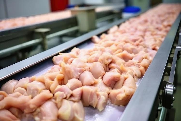 Gripe Aviária: Exportações de Frango Brasileiras Resistem a Suspensões Internacionais