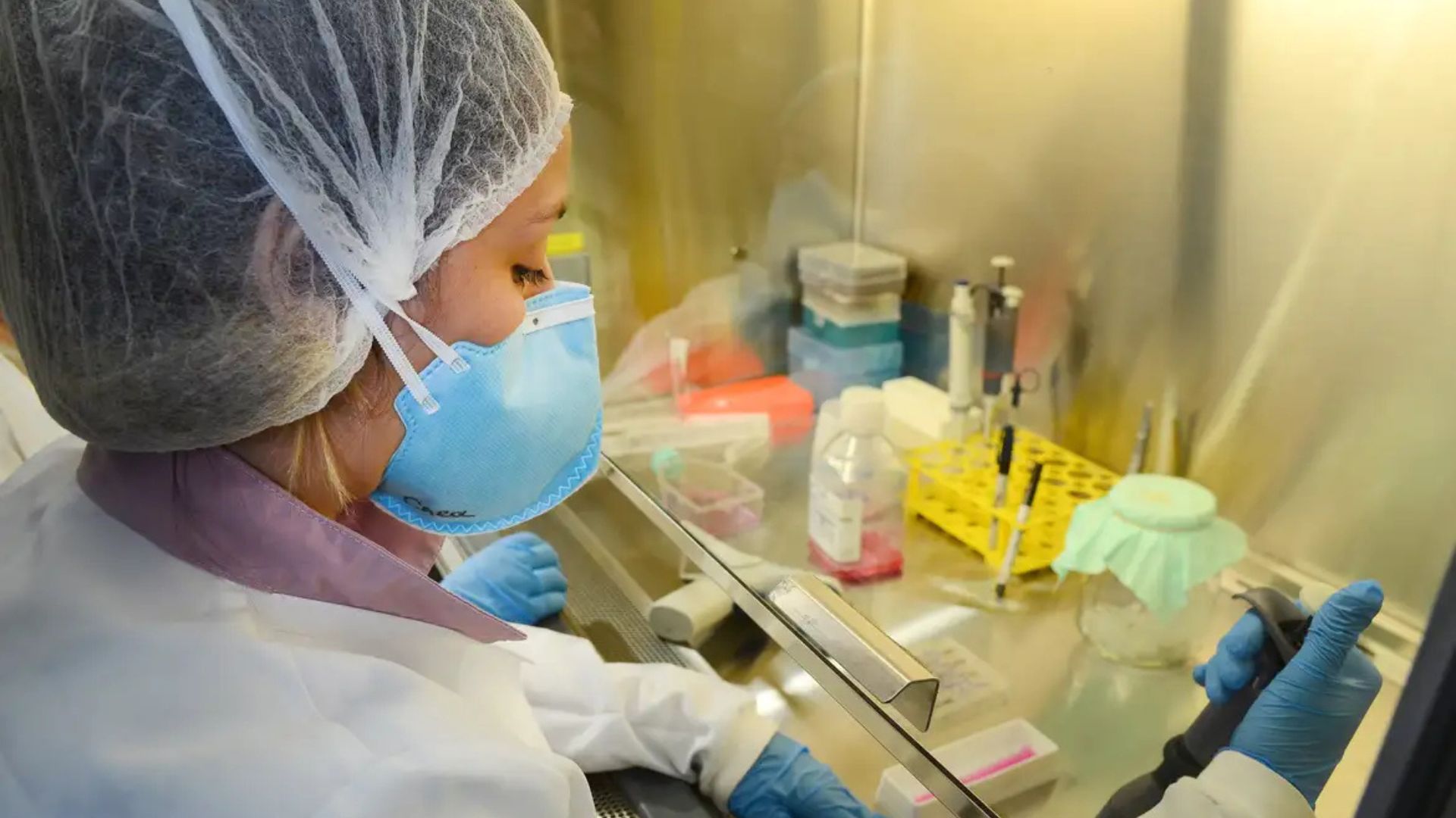 Vacina contra Zika avança na USP com resultados promissores em testes com camundongos