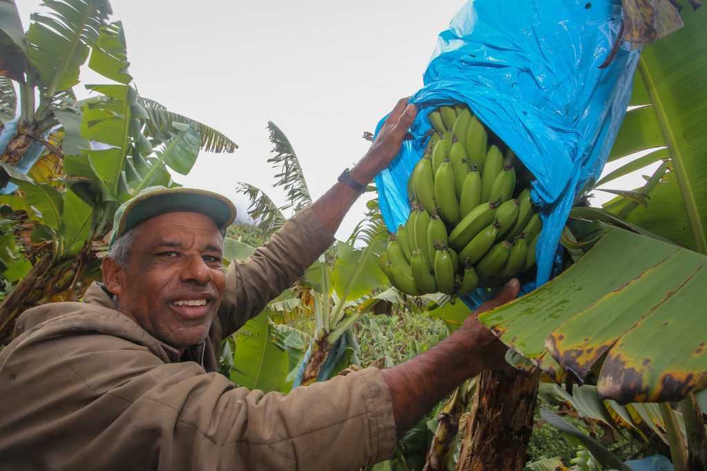 Governo de SP e Banco Mundial anunciam investimento de R$ 1,1 bilhão para o agro paulista