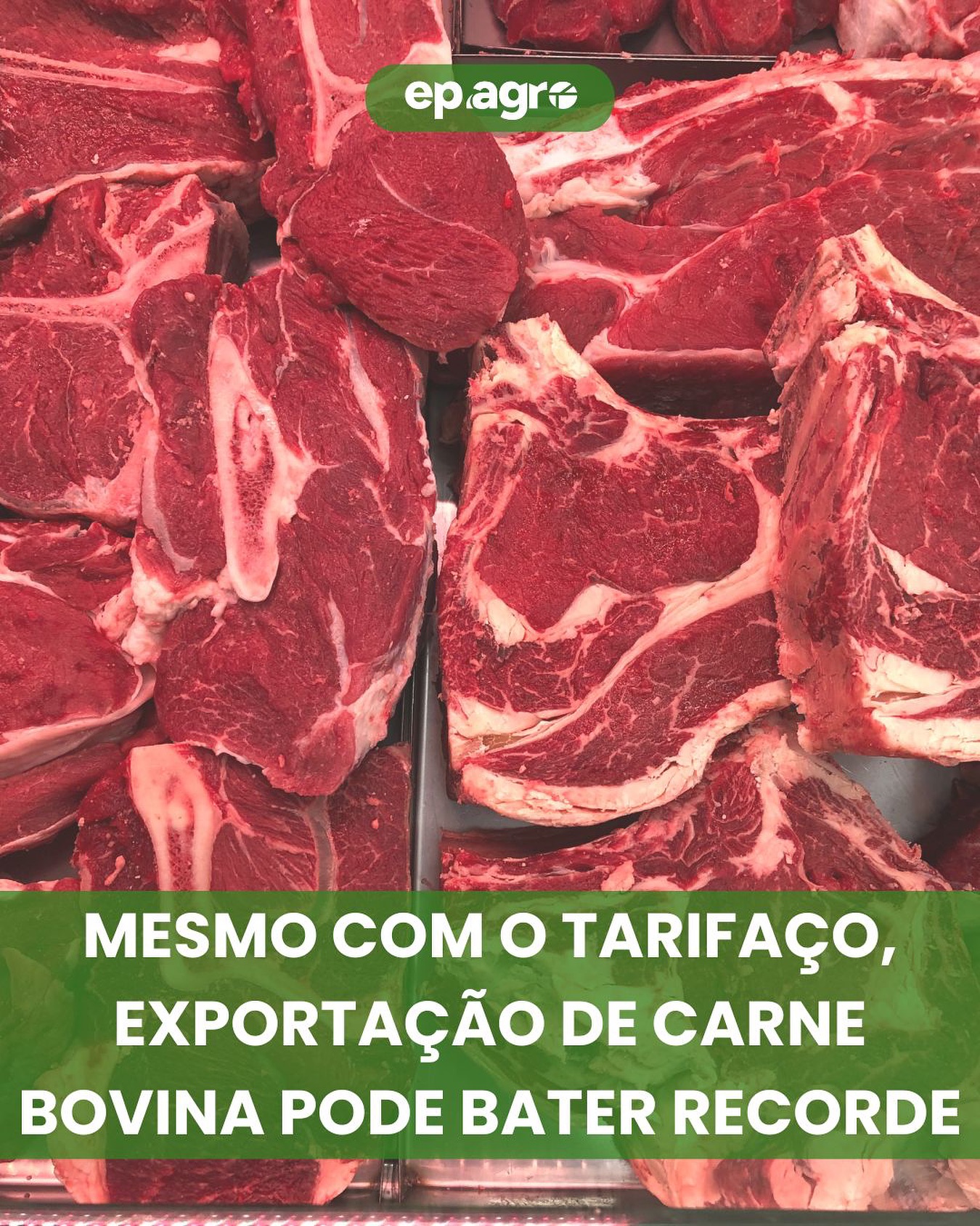 Brasil deve bater recorde de exportação de carne bovina em agosto, apesar de tarifa dos EUA
