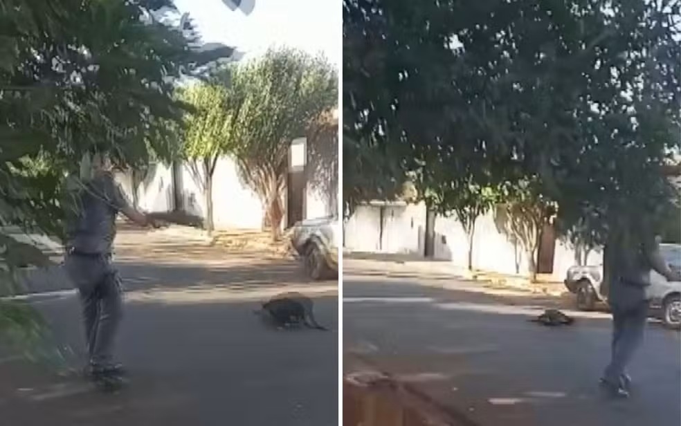 Policial militar mata cachorro a tiros durante confusão com moradores