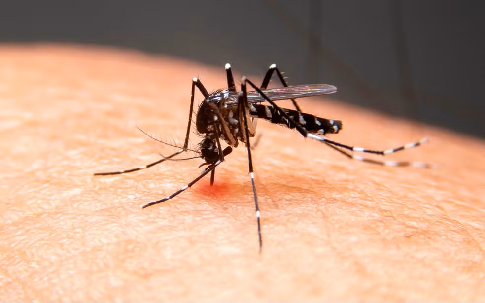 São Carlos confirma mais duas mortes por dengue e chega a 22 óbitos em 2025