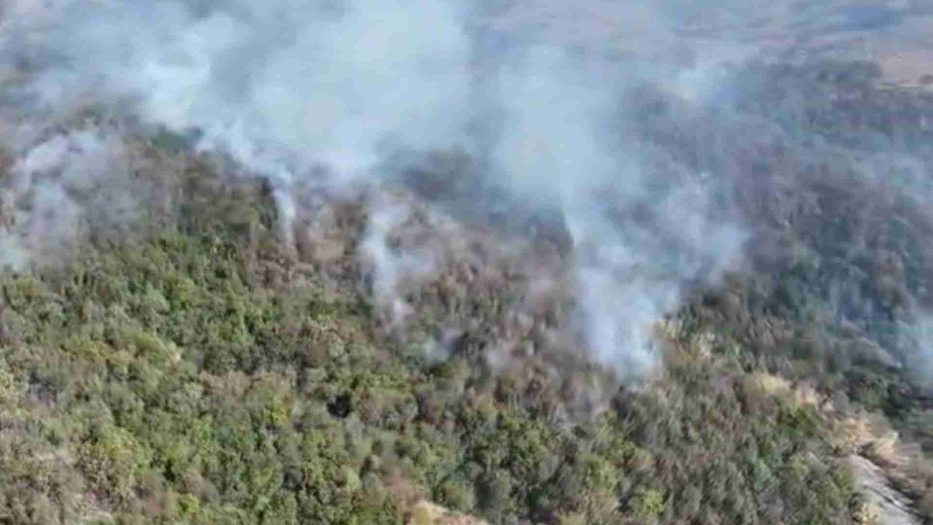Defesa Civil de SP registra 11 focos de incêndio ativos no interior do estado neste sábado (13).