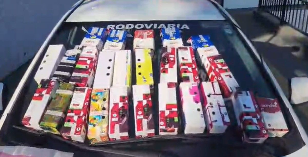 Homem é preso com 25 filhotes de aves silvestres em carro e recebe multa de R$ 117 mil