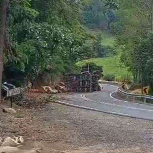 Carreta carregada com toras tomba e deixa trânsito lento por mais de dez horas