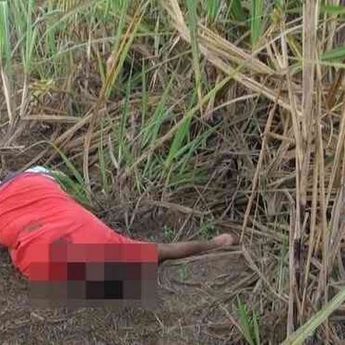 Homem é encontrado morto em canavial na zona rural de Porto Ferreira