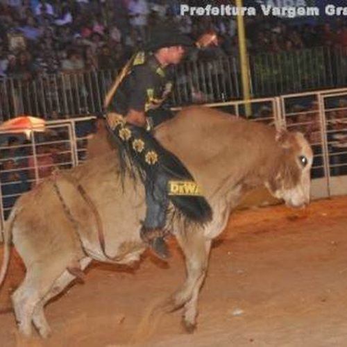 Prêmio do rodeio da Festa da Batata de Vargem Grande do Sul será carro zero km