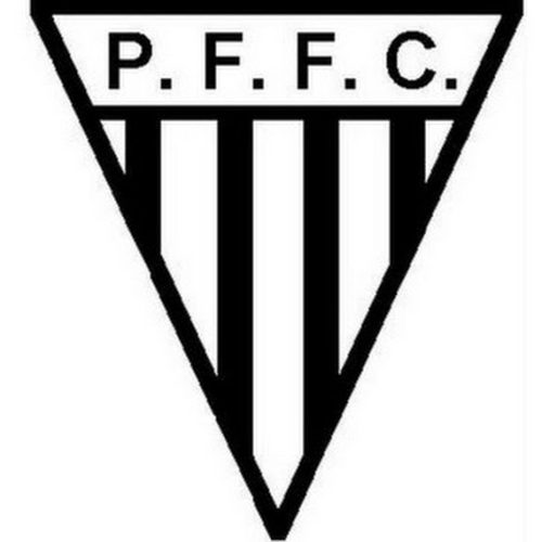 P.F.F.C.: atletas destaques da Liga dos Campeões 2013