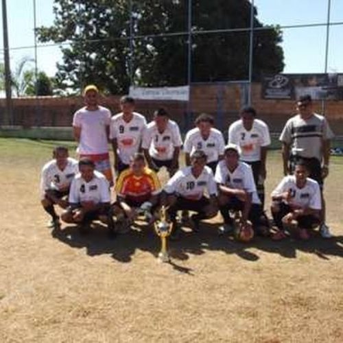 Estrelas do Futuro Escola Oficial de Futebol do Botafogo F.R.