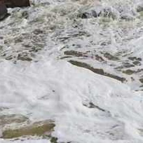 Cetesb divulga resultado de amostra de espuma no rio Mogi Guaçu