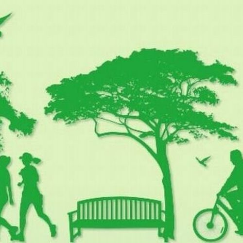 Conheça os serviços públicos que ajudam a preservar o meio ambiente