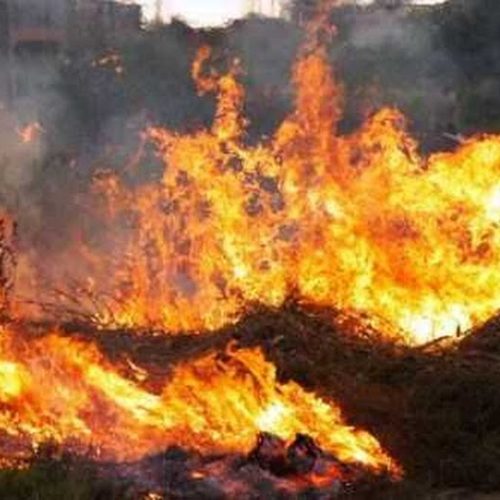 Tempo seco eleva riscos de queimadas em rodovias