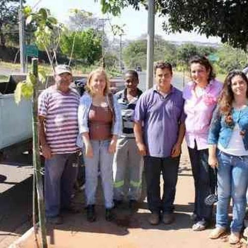 Divisão de Meio Ambiente realiza o plantio de mudas em vários pontos da cidade