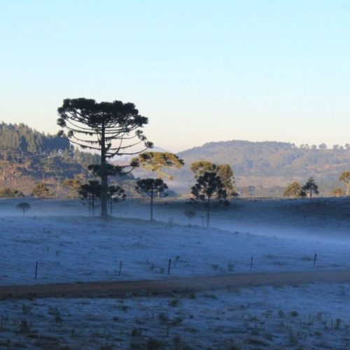 Nova frente fria traz temporais, queda de temperatura e risco de geada no Centro-Sul do Brasil