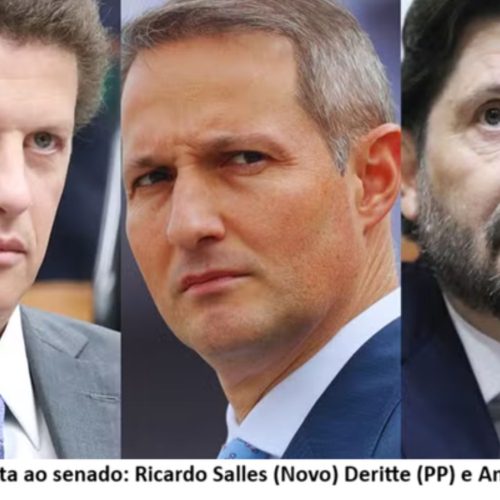 Candidatos ao senado paulista da direita se atropelam no TRE para ver quem é mais bolsonarista que o outro