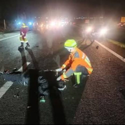 Cavalos na pista causam engavetamento com sete veículos e uma moto na SP-340 em Mococa