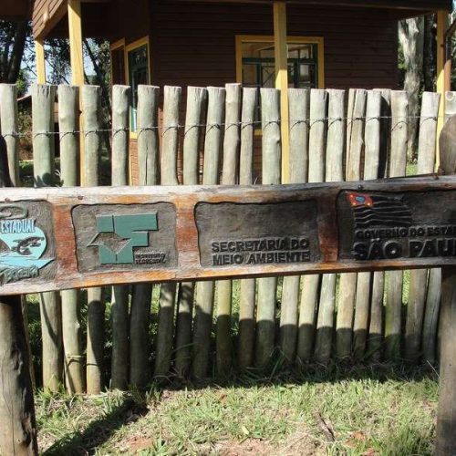 Programação do Parque Estadual de Porto Ferreira para a Semana do Meio Ambiente