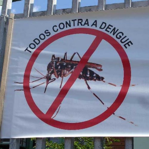 Porto Ferreira tem 4 casos de dengue confirmados