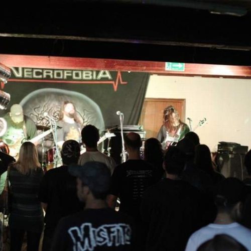 O CURTO ROCK atingiu seus objetivos