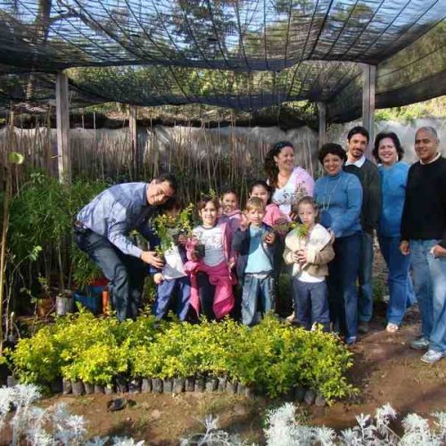 Conheça as atividades do Núcleo de Educação Ambiental Verde É Vida