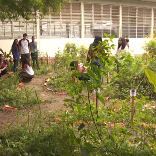 Alunos de Etec em Araras (SP) constroem Jardim Sensorial inédito na região