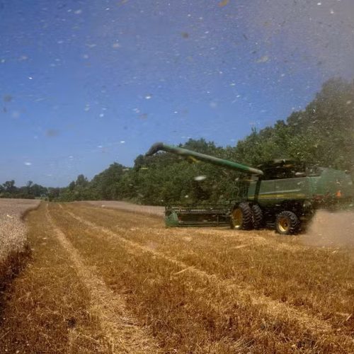 Produtores rurais dos EUA clamam por socorro após tarifaço de Trump contra a China