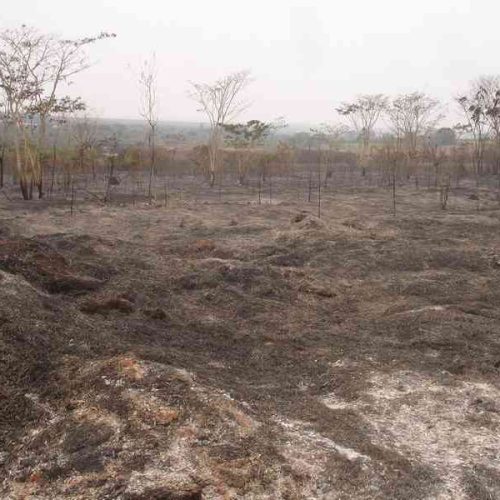Incêndio deixa rastro de destruição em Porto Ferreira