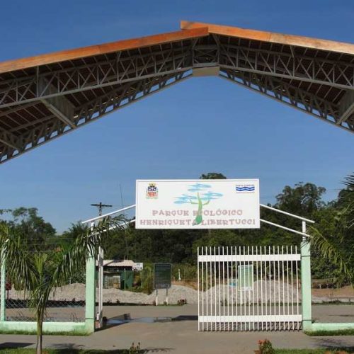 Prefeitura prepara comemoração para o Dia da Árvore
