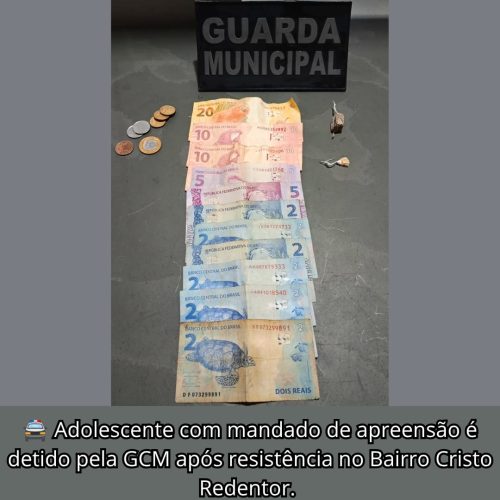 GCM apreende adolescente procurado pela Justiça em Porto Ferreira