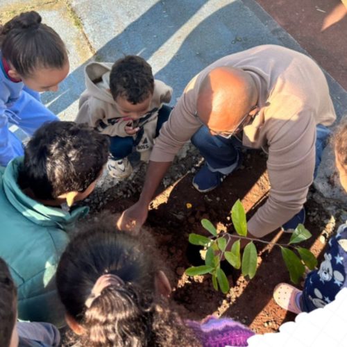 Crianças da EMEI Profª Ottília Silva da Silveira plantam mudas como prática de conscientização ambiental em Porto Ferreira