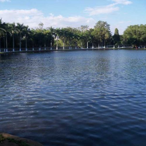 Programa Conhecendo o Esporte do Clube de Campo