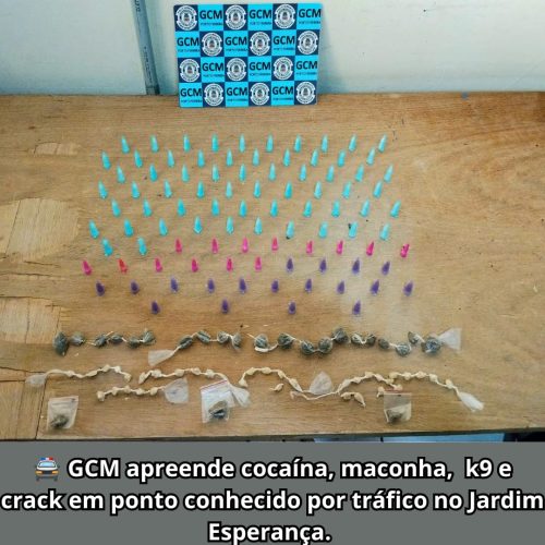 Entorpecentes são apreendidos pela GCM em ponto conhecido por tráfico em Porto Ferreira
