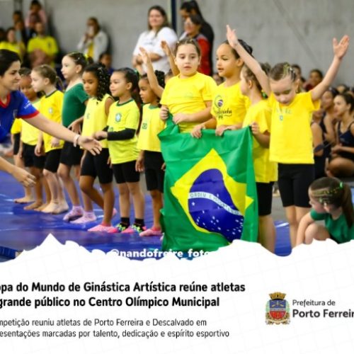 Copa de ginástica artística reúne atletas e público em Porto Ferreira