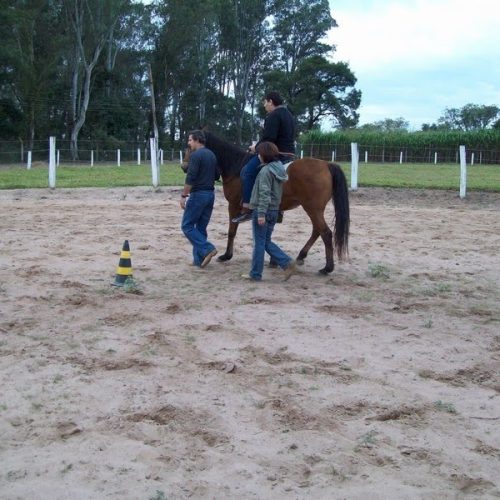 Equoterapia é usada para tratar pessoas com necessidades especiais